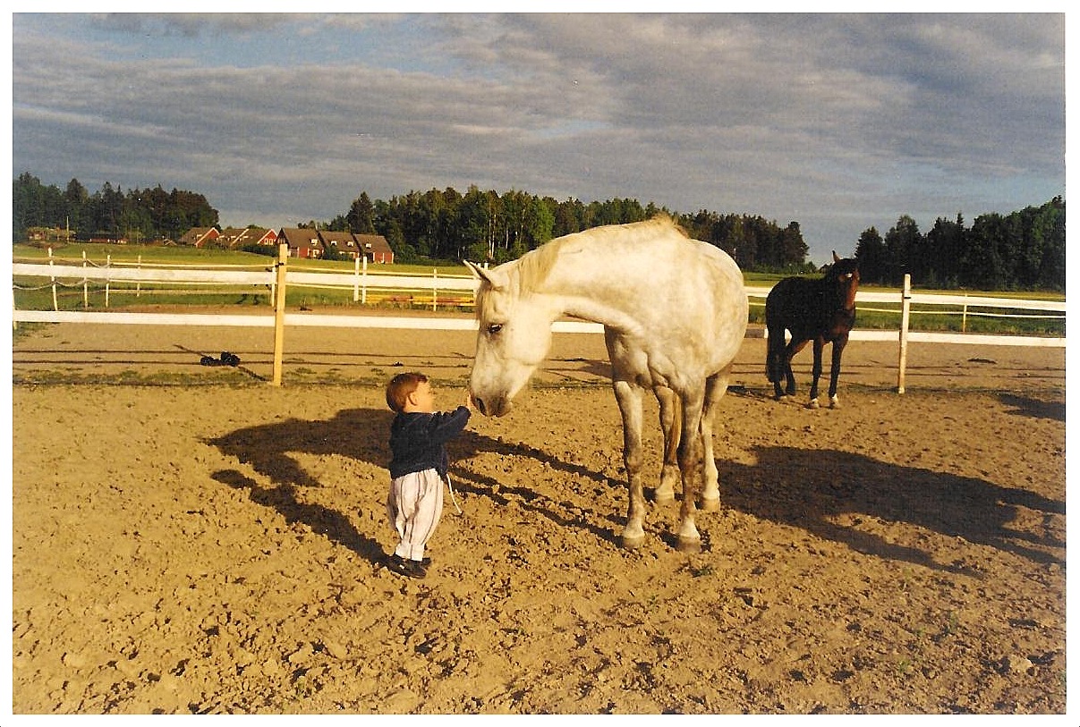Mattias klappar Dashing Sarah.jpg
